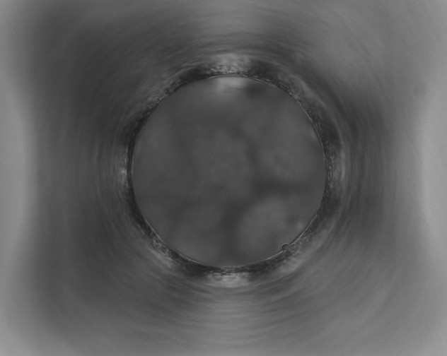 X0000111580553200907301407