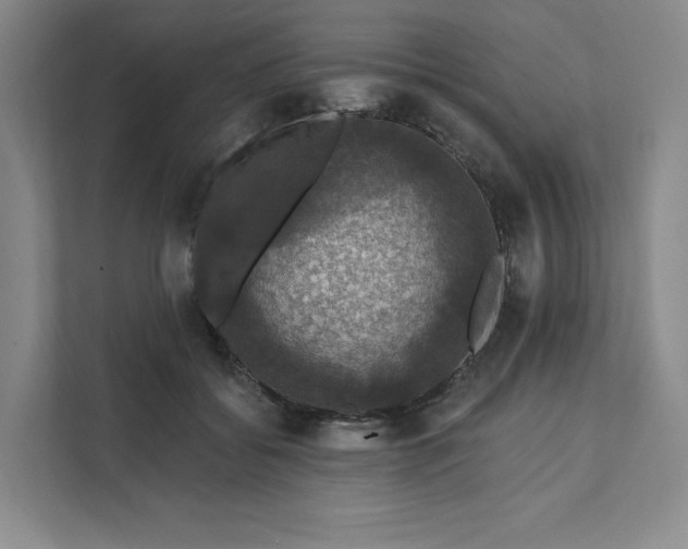 X0000111580556200907301407