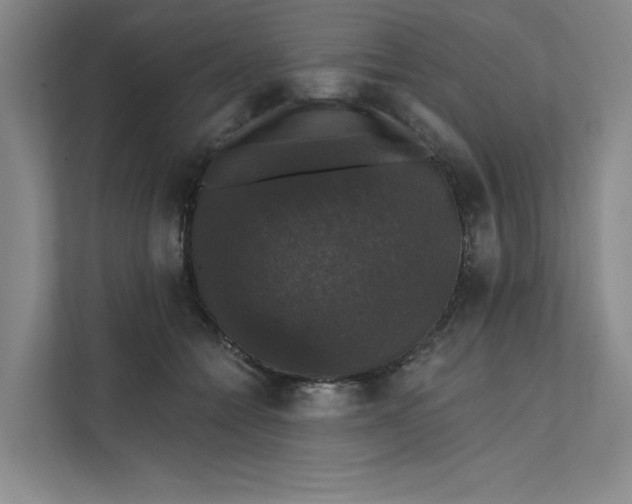 X0000111580558200907301407