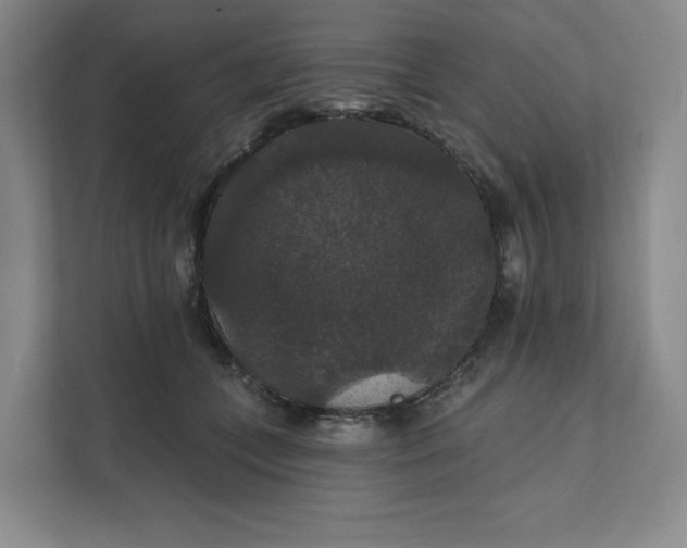 X0000111580559200907301407