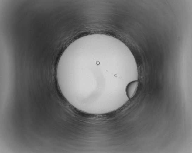 X0000111580563200907301408