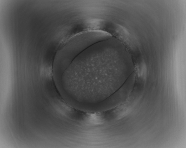 X0000111580564200907301408