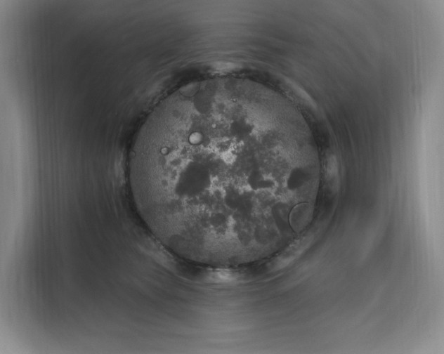 X0000111580565200907301408