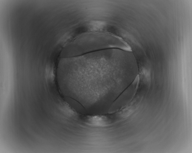 X0000111580566200907301408