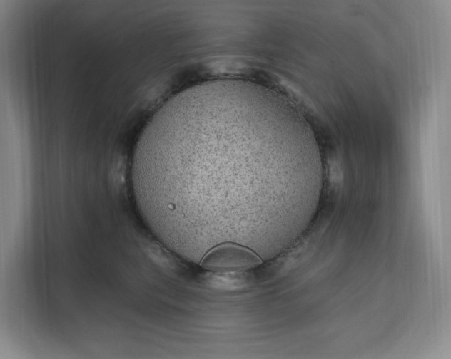 X0000111580567200907301408