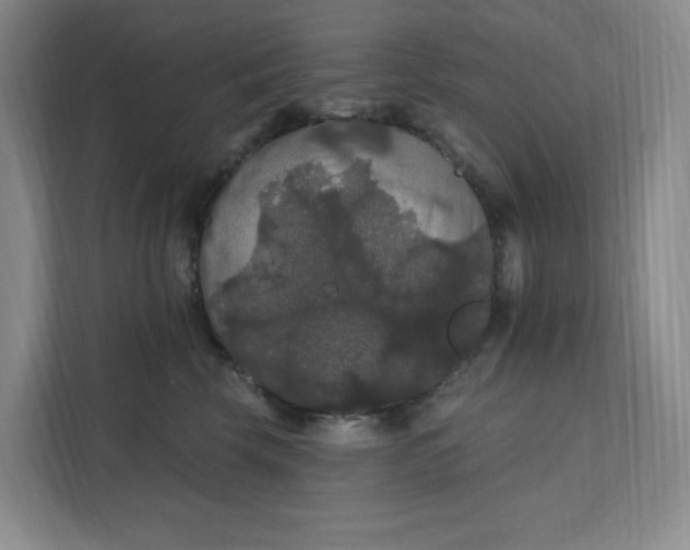 X0000111580569200907301408