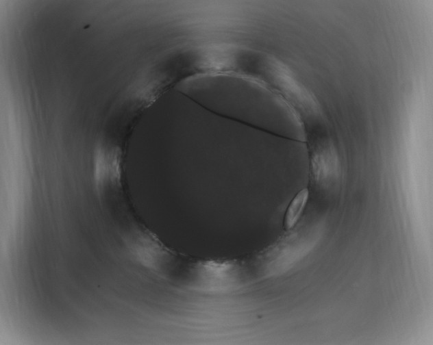 X0000111580570200907301408