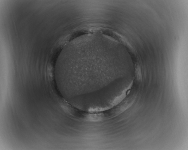 X0000111580571200907301408