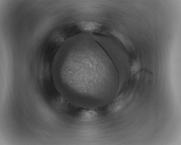 X0000111580572200907301408