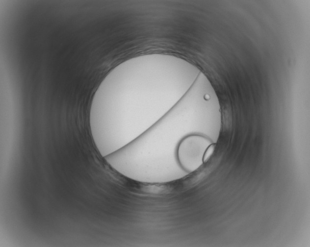 X0000111580575200907301408