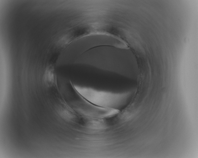 X0000111580576200907301408