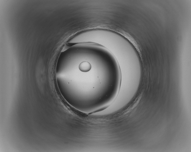 X0000111580577200907301407