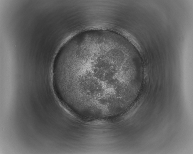 X0000111580578200907301407