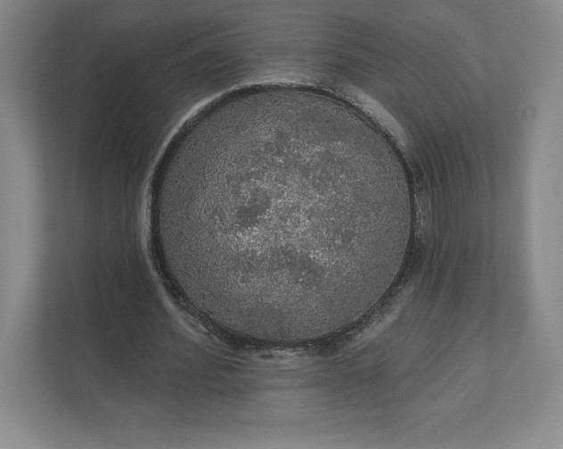 X0000111580580200907301407