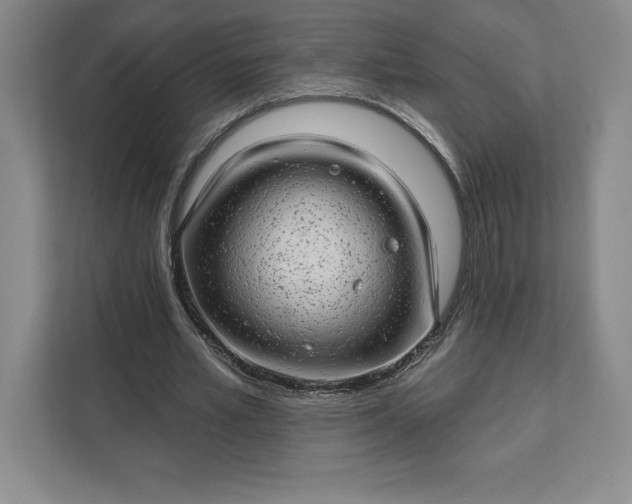 X0000111580581200907301407