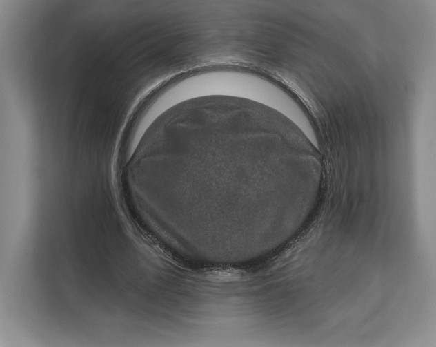 X0000111580583200907301407