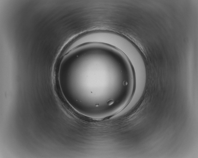 X0000111580584200907301407