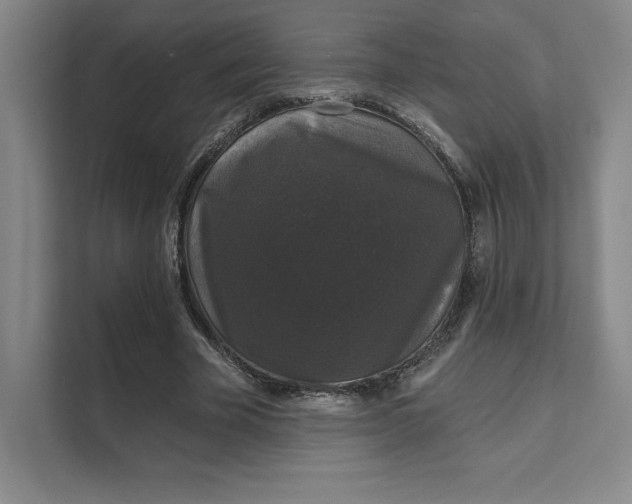 X0000111580585200907301407