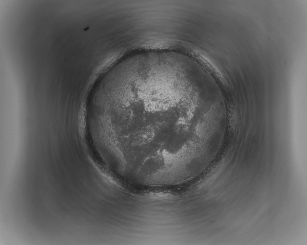 X0000111580586200907301407