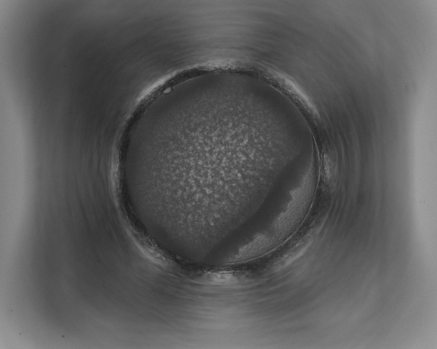 X0000111580588200907301407