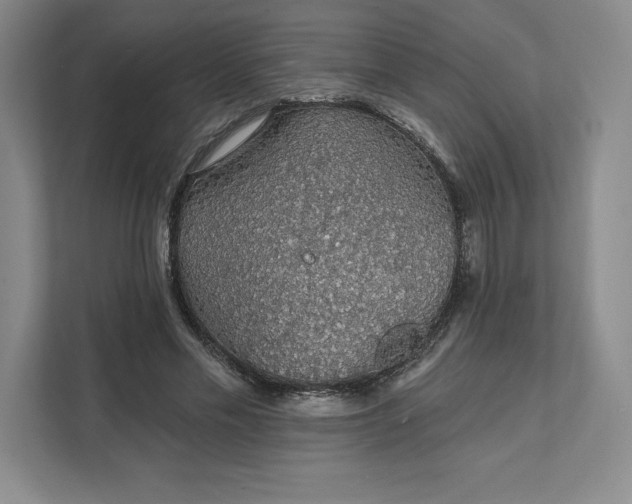 X0000111580589200907301407