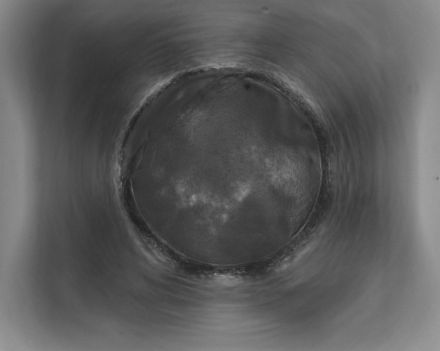 X0000111580592200907301407