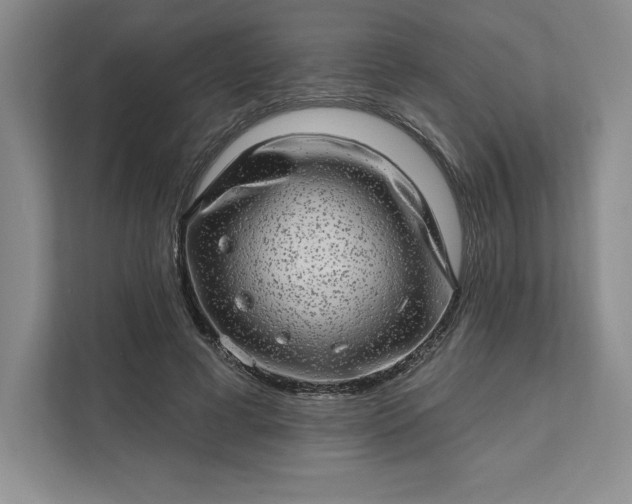 X0000111580593200907301407