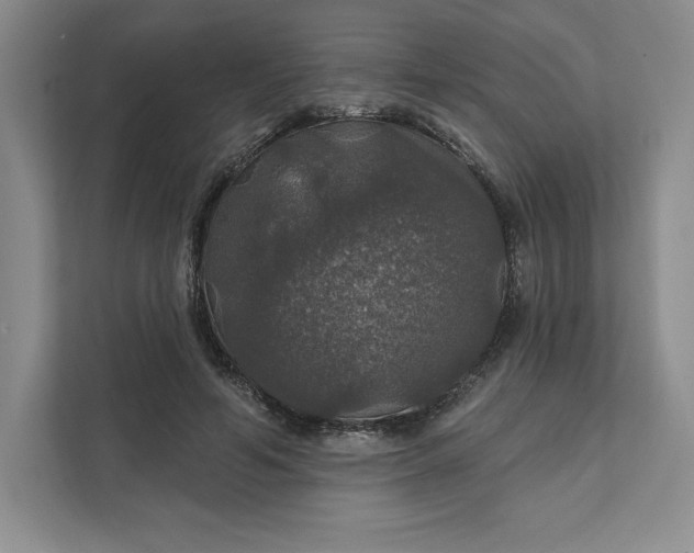 X0000111580594200907301407