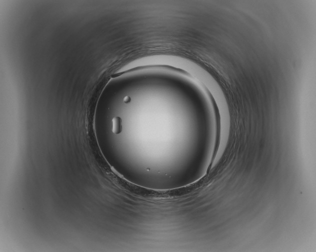 X0000111580595200907301407