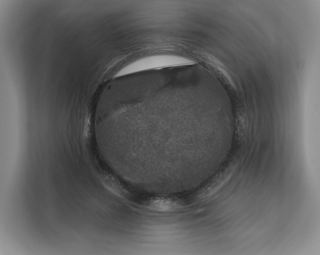 X0000111580596200907301407