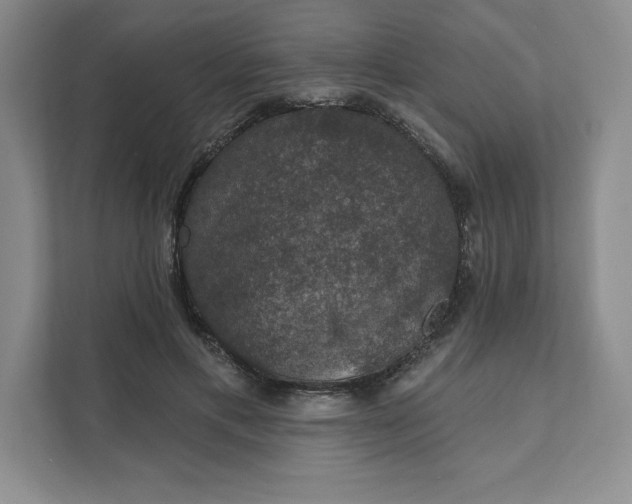 X0000111580597200907301407