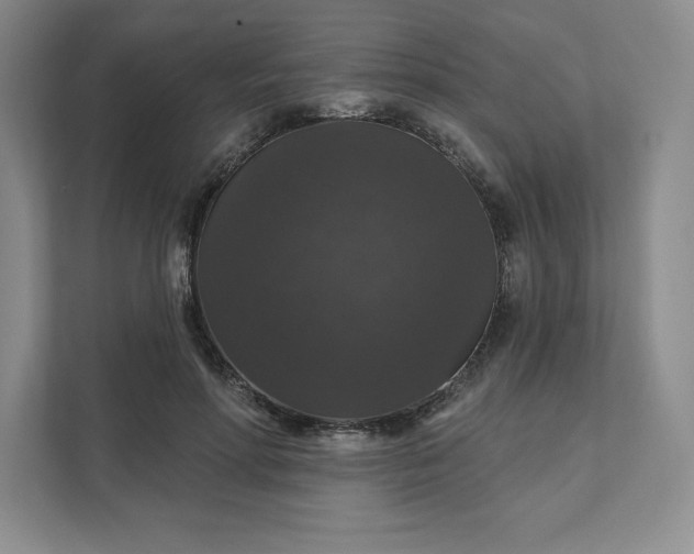 X0000111580598200907301407