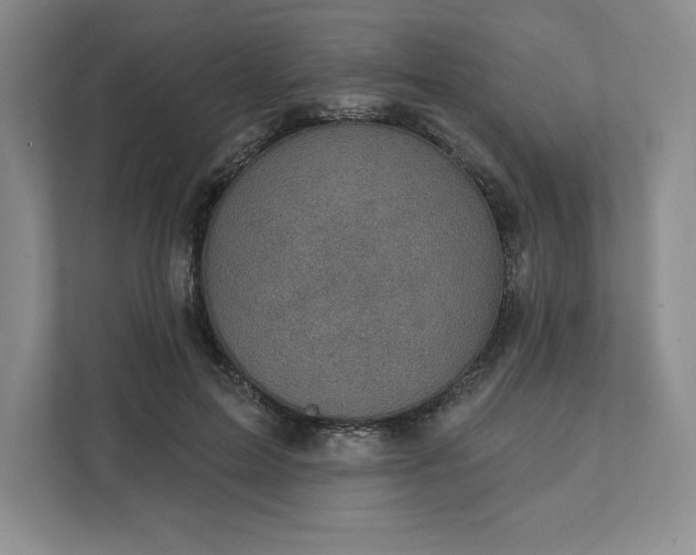 X0000111580599200907301407