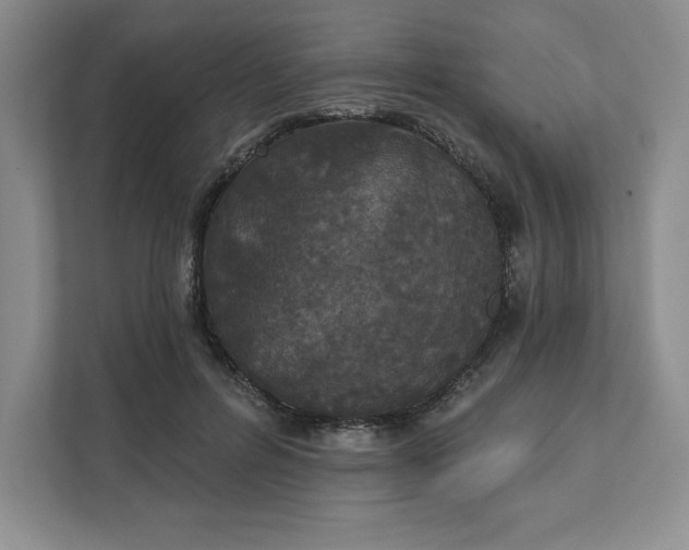 X0000111580600200907301407