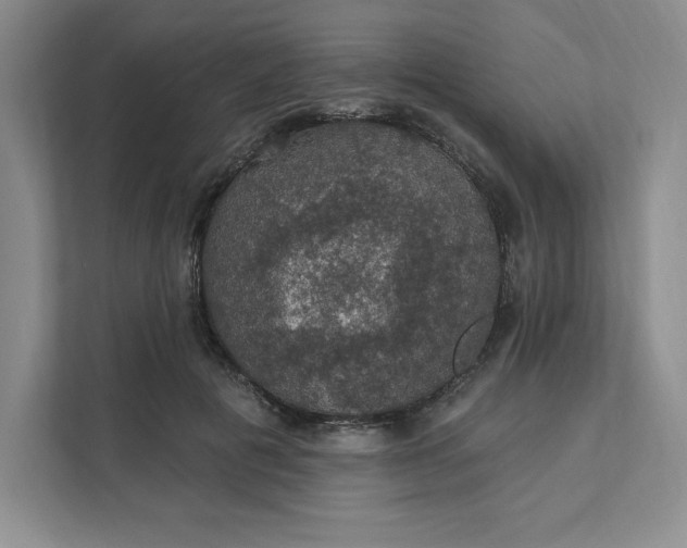 X0000111580601200907301407