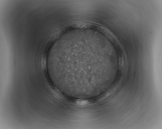 X0000111580602200907301407