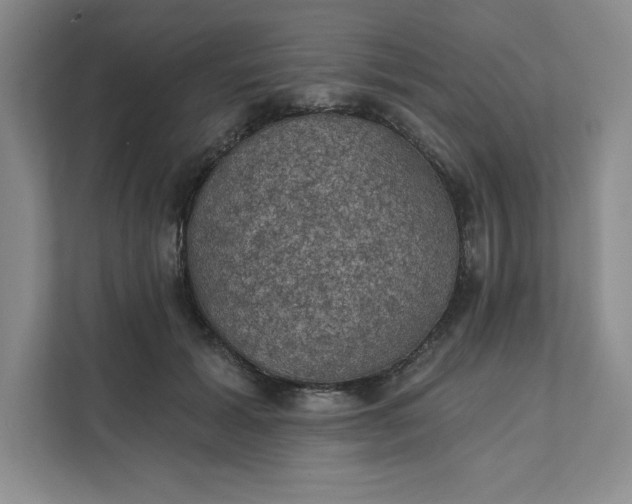 X0000111580605200907301406