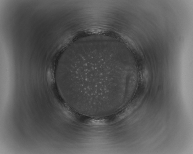 X0000111580606200907301406