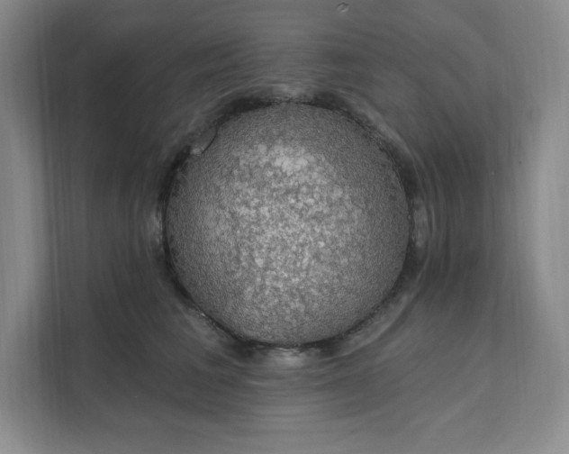 X0000111580613200907301406