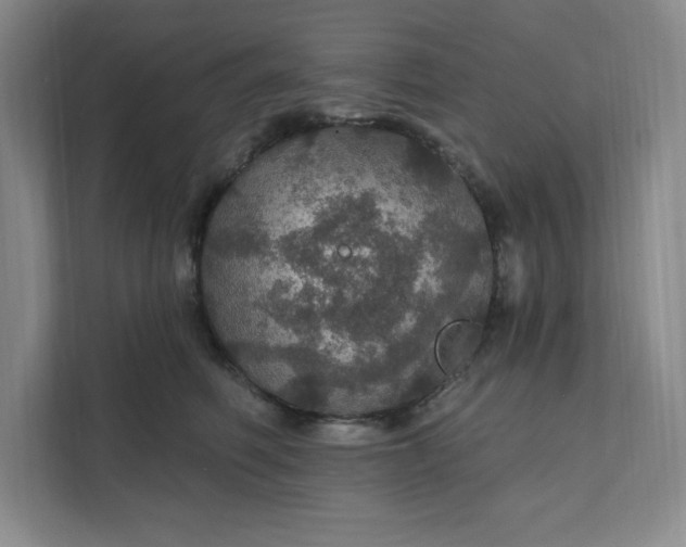 X0000111580614200907301406