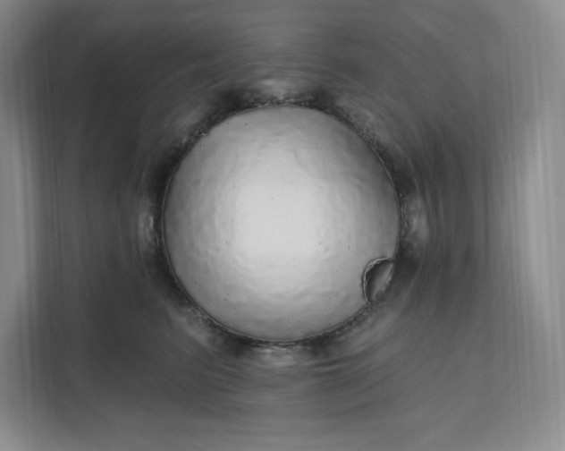 X0000111580615200907301406