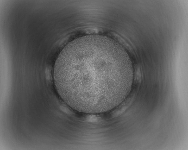 X0000111580616200907301406