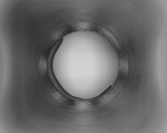 X0000111580621200907301406