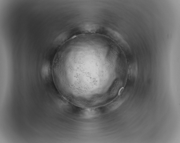 X0000111580623200907301406