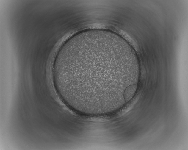 X0000111580625200907301406