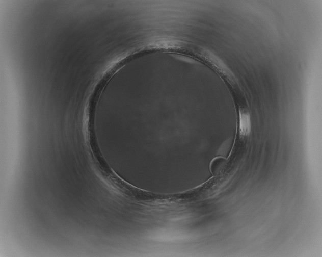 X0000111580627200907301406