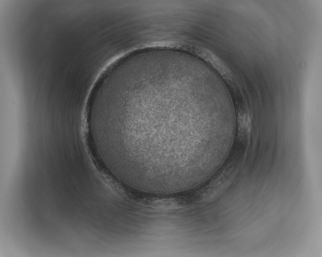 X0000111580628200907301406