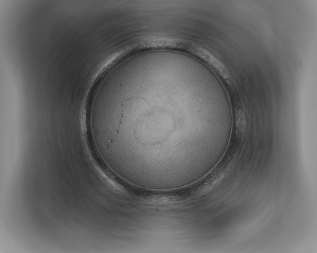 X0000111580629200907301406