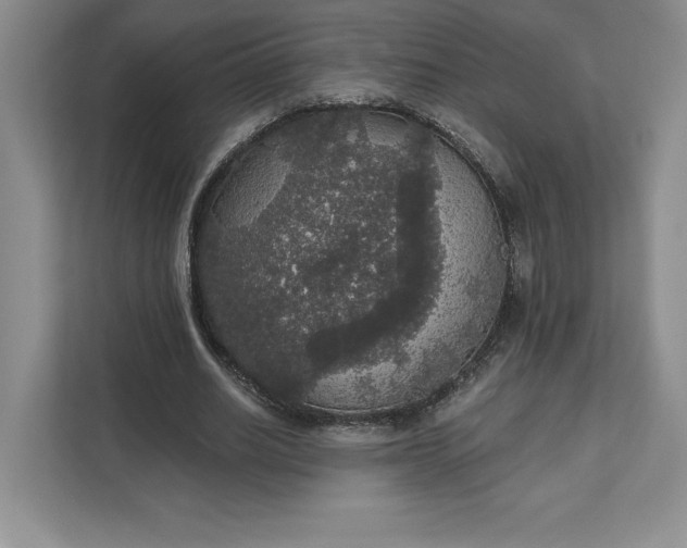 X0000111580630200907301406