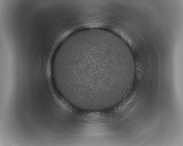 X0000111580631200907301406